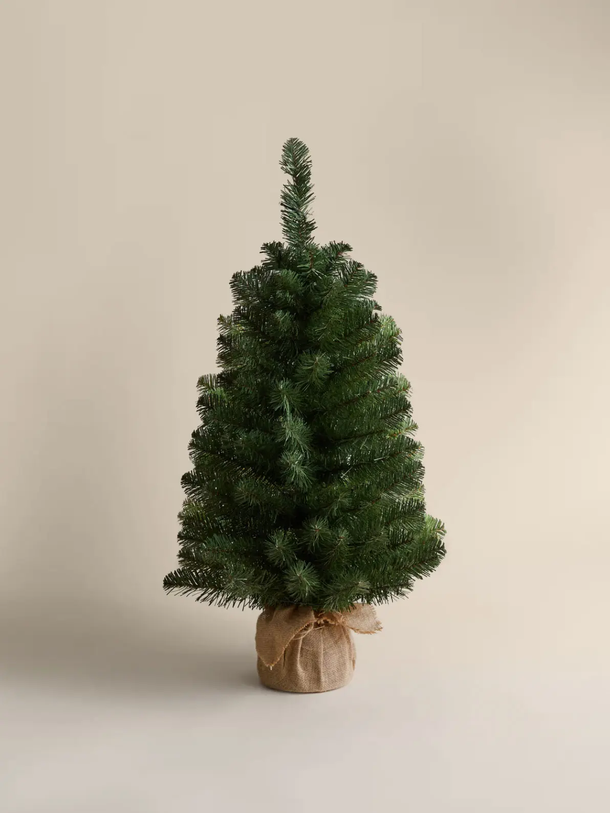 Image of small Christmas tree