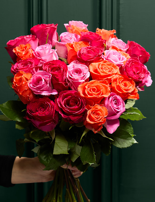 A selection of lovely Roses. Shop Flowers at M&S.