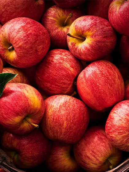 What's in Season in November | M&S Food