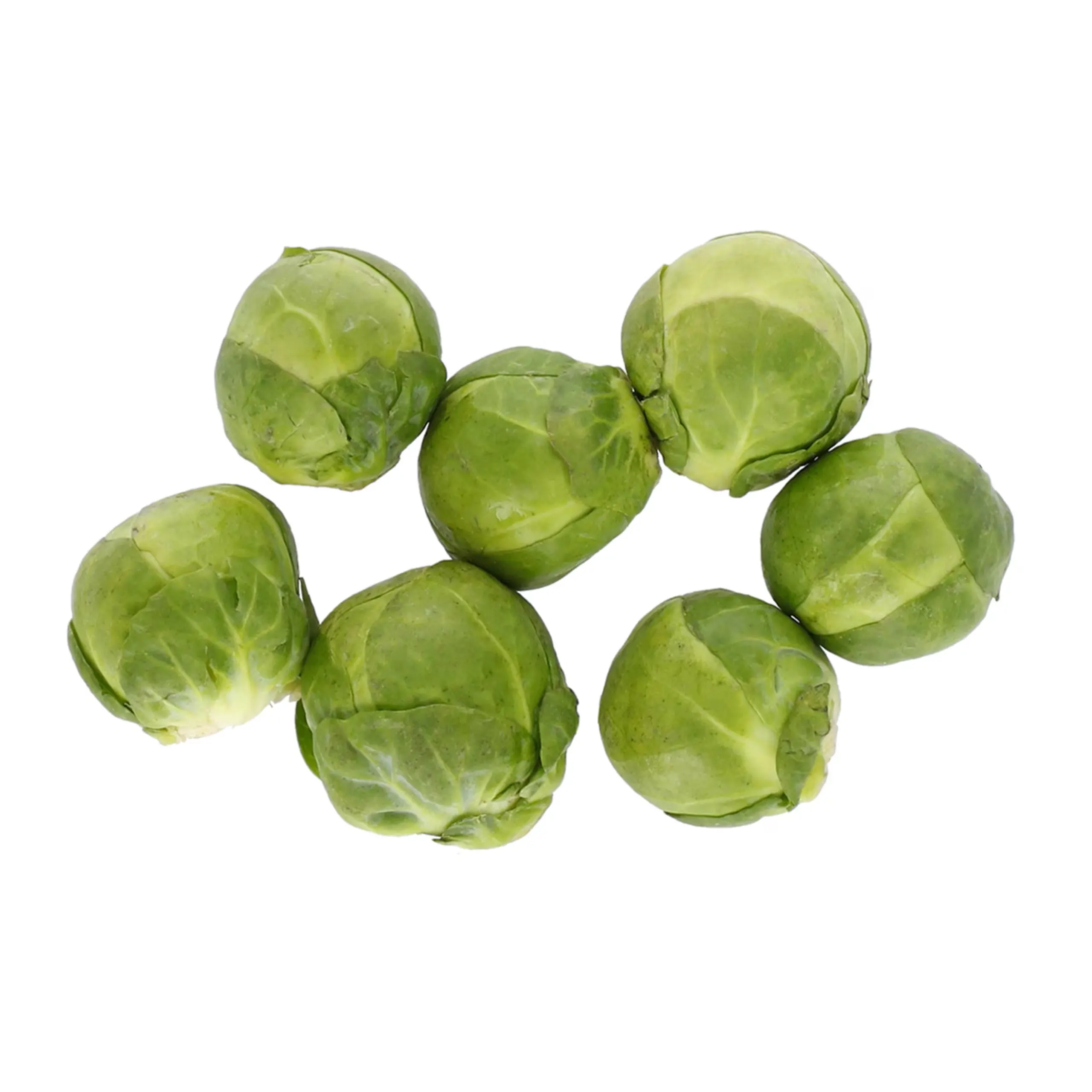 Sprouts