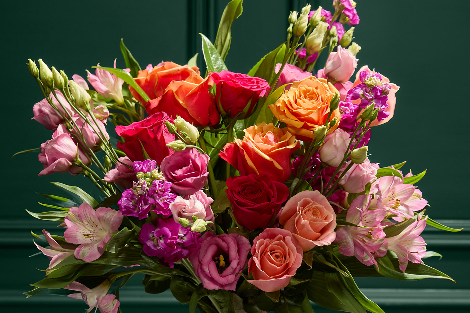 ONE FEATURE 1500X1000