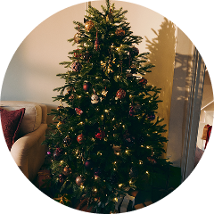 Christmas trees