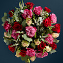 Celebrity Collections