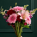 Summer Flowers