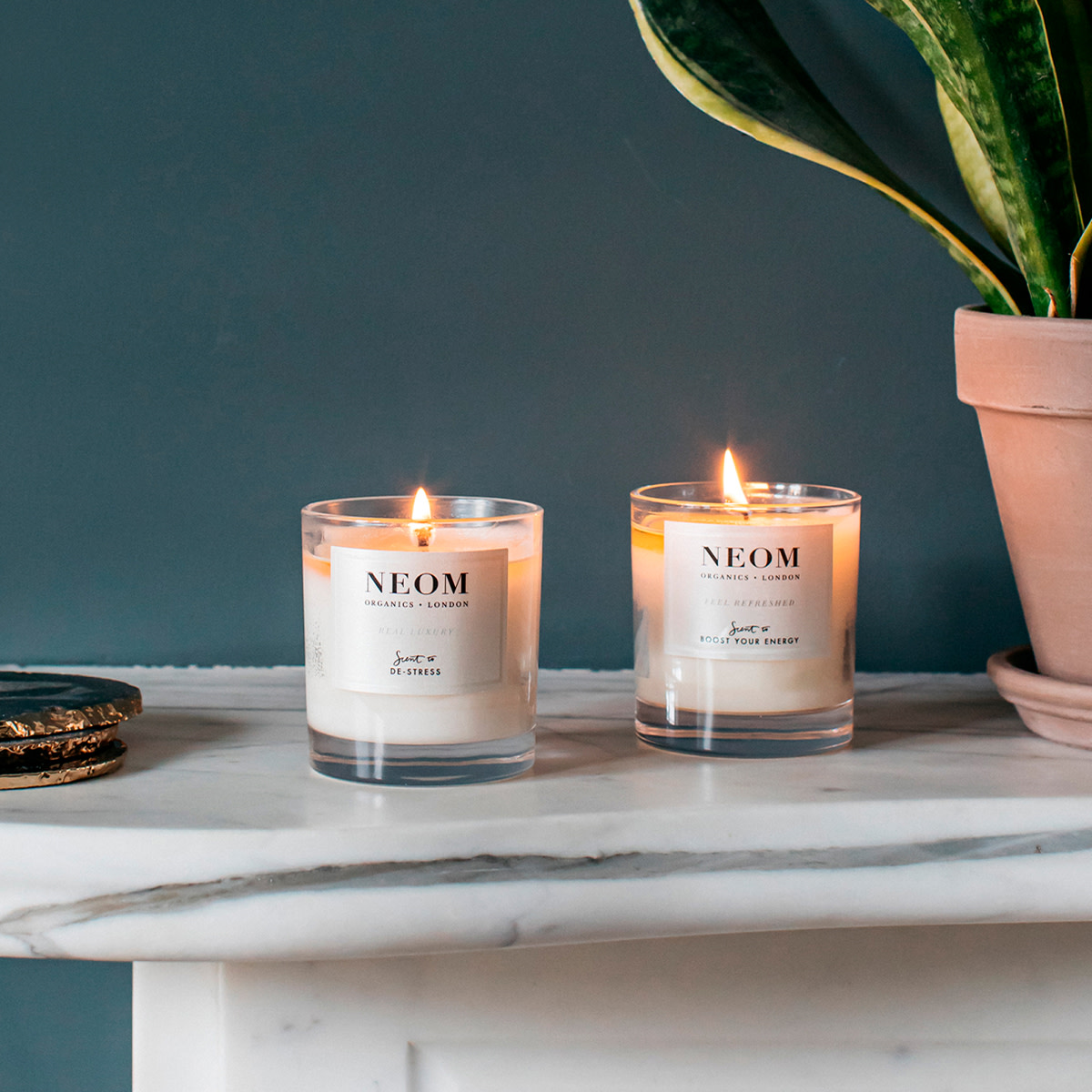 Home fragrance guide