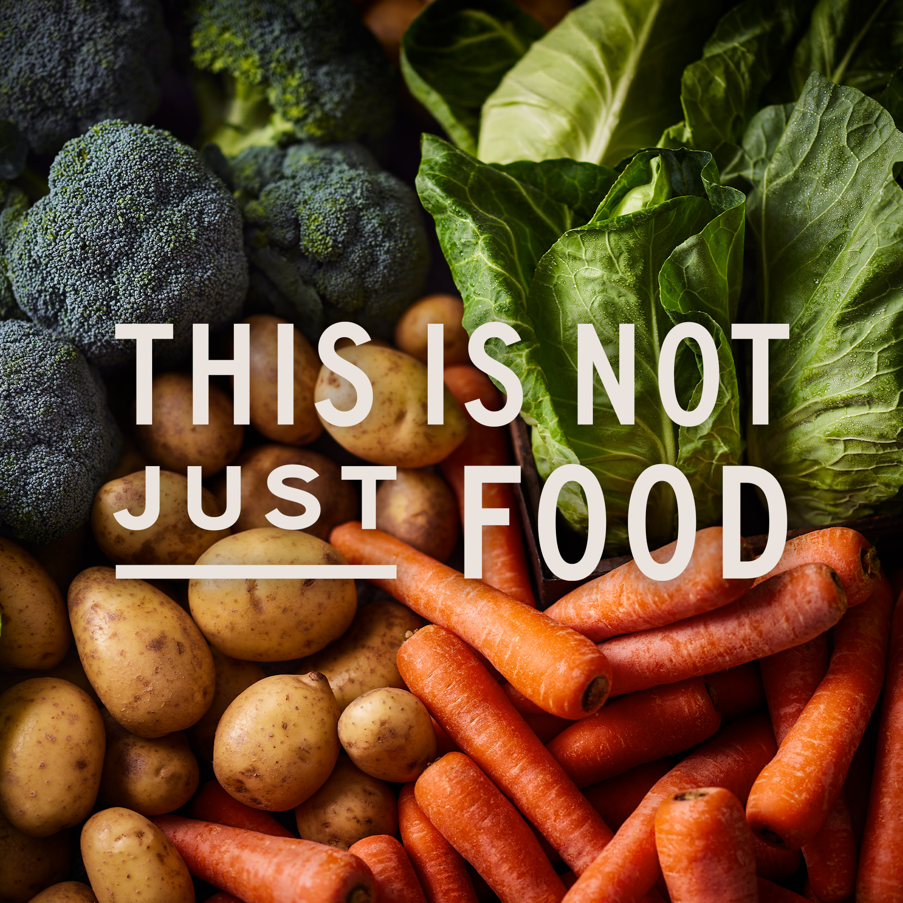 This is not just food