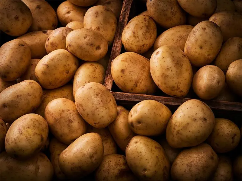 best in season potatoes