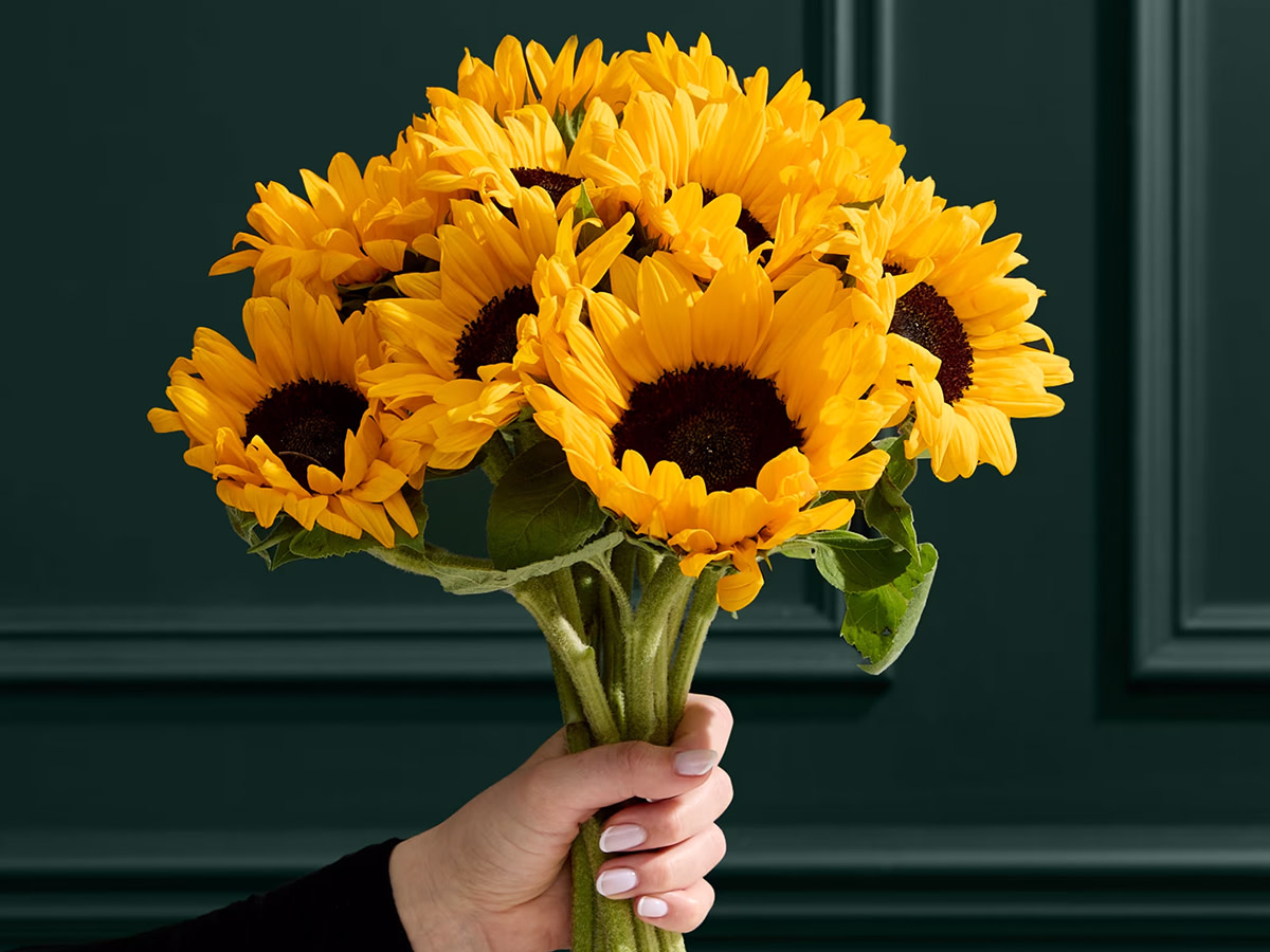 Sunflower abundance bouquet