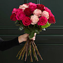 Valentine's Day Roses