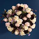 Celebrity Collections