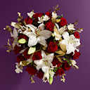 Christmas Flowers & Plants