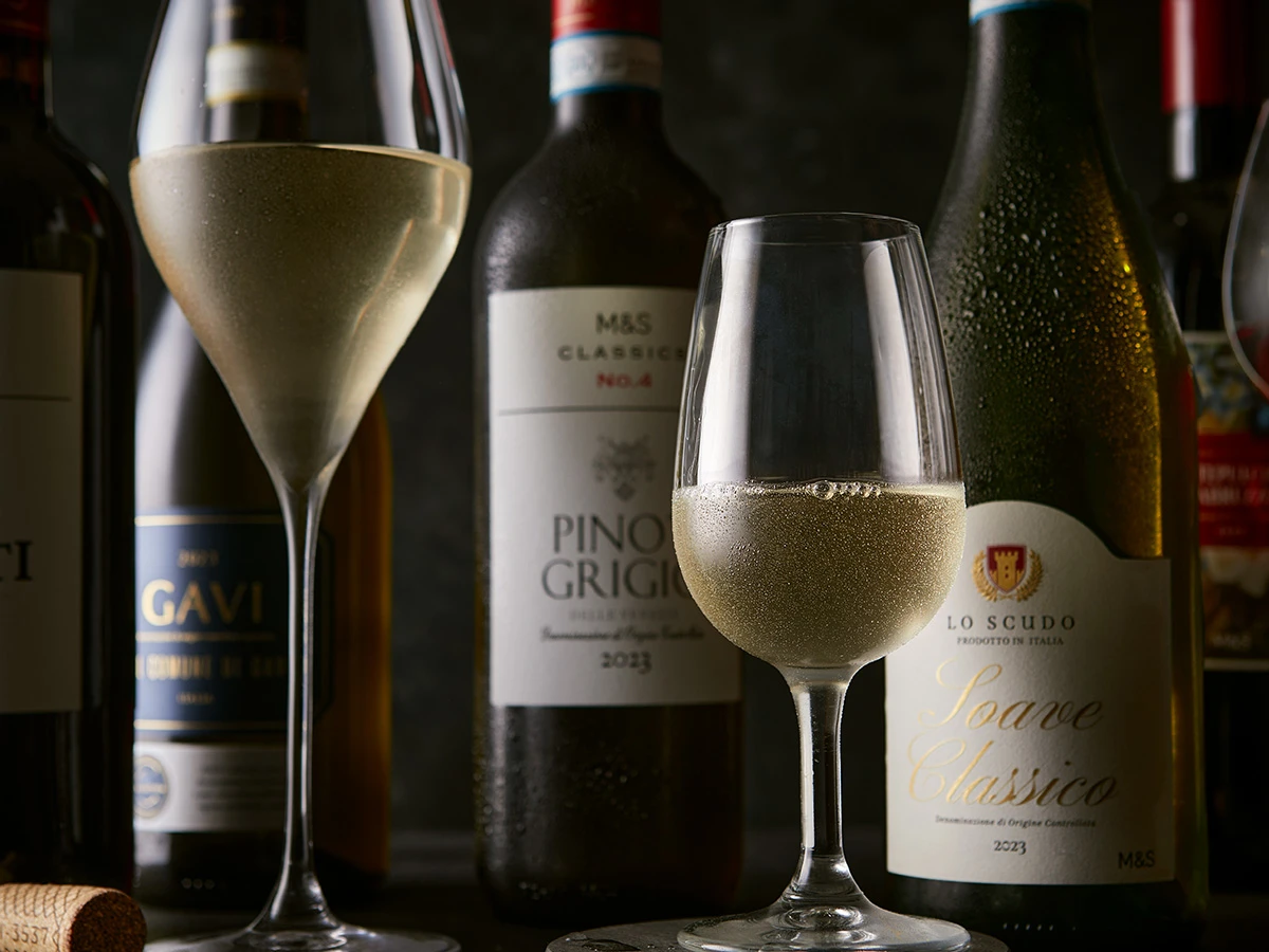 guide to italian wine