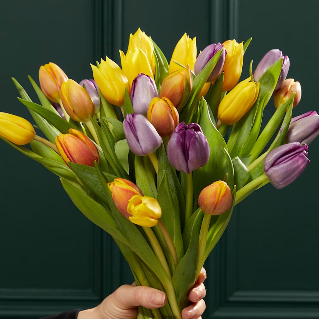 Bright Beautiful British Tulip Bouquet