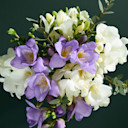 Flowers Under £35
