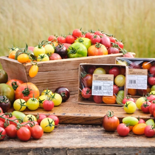 Colourful tomatoes on wooden table in field
