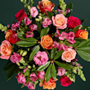 Next Day Delivery Flowers