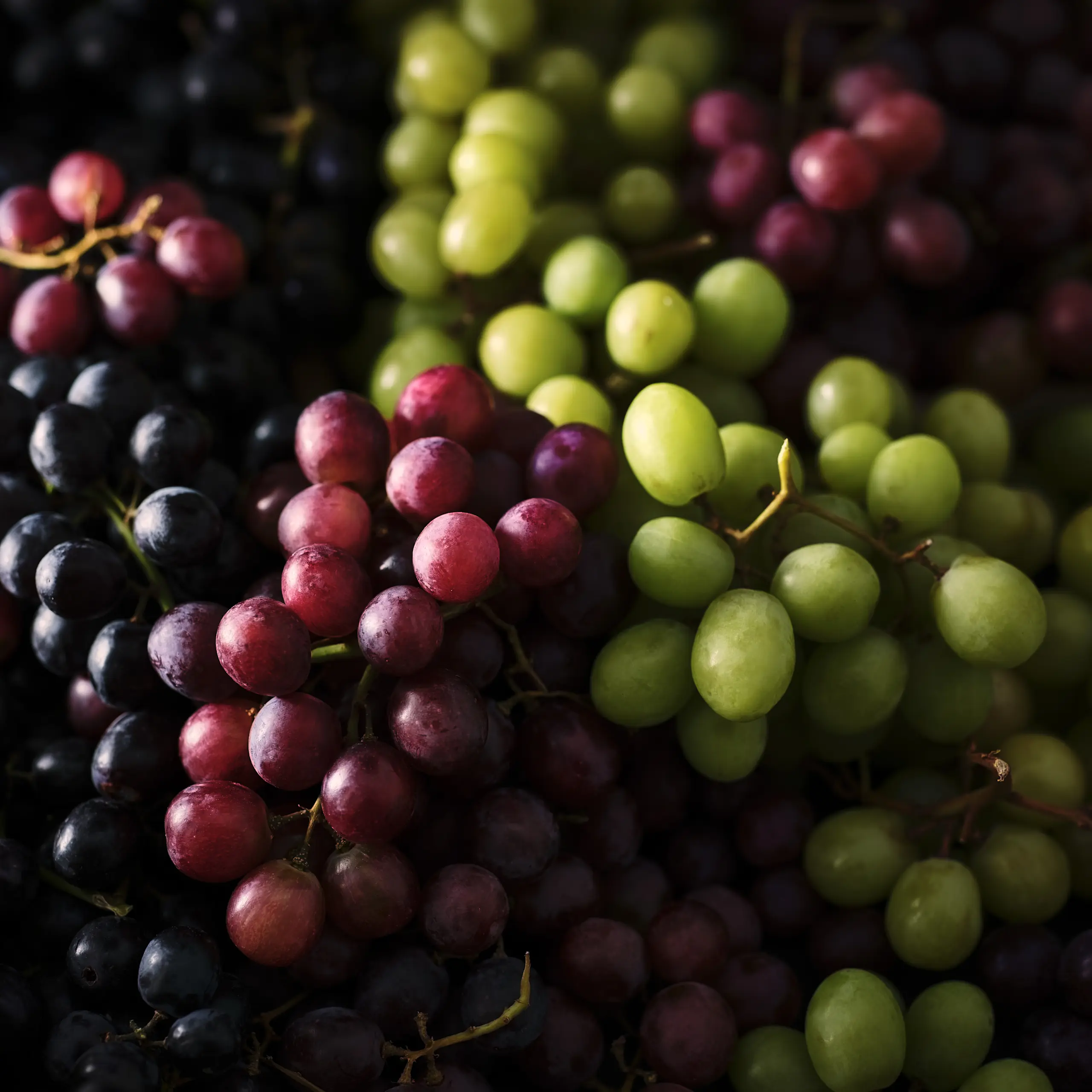 Close up of red and green grapes