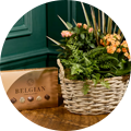 Plant gift bundles