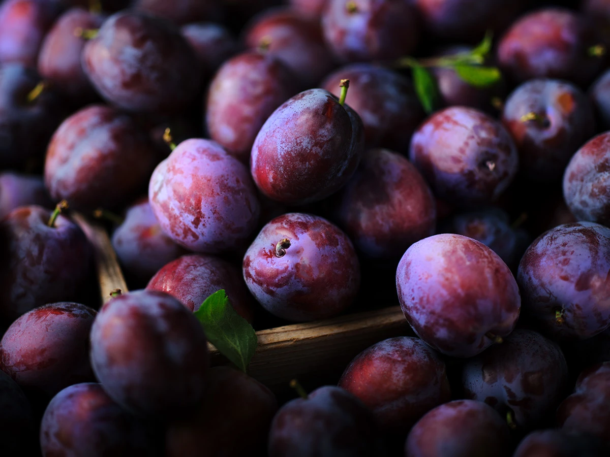 Tree-ripened Plums
