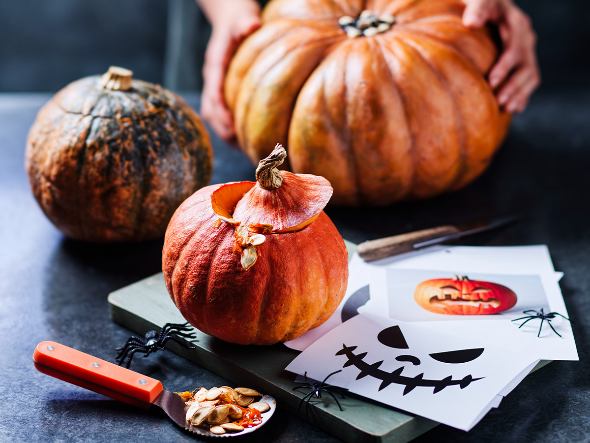 A person getting ready to carve a pumpkin