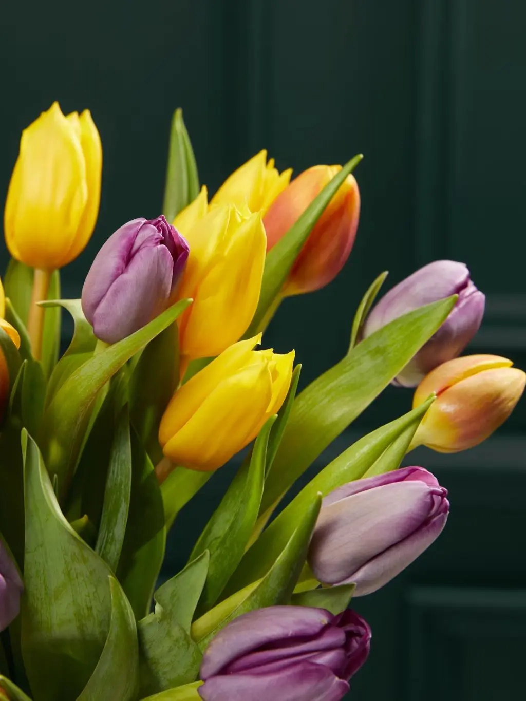 A close up of a bunch of yellow and purple ty