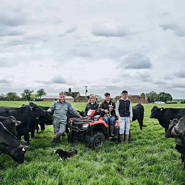 Farmers with cows in field