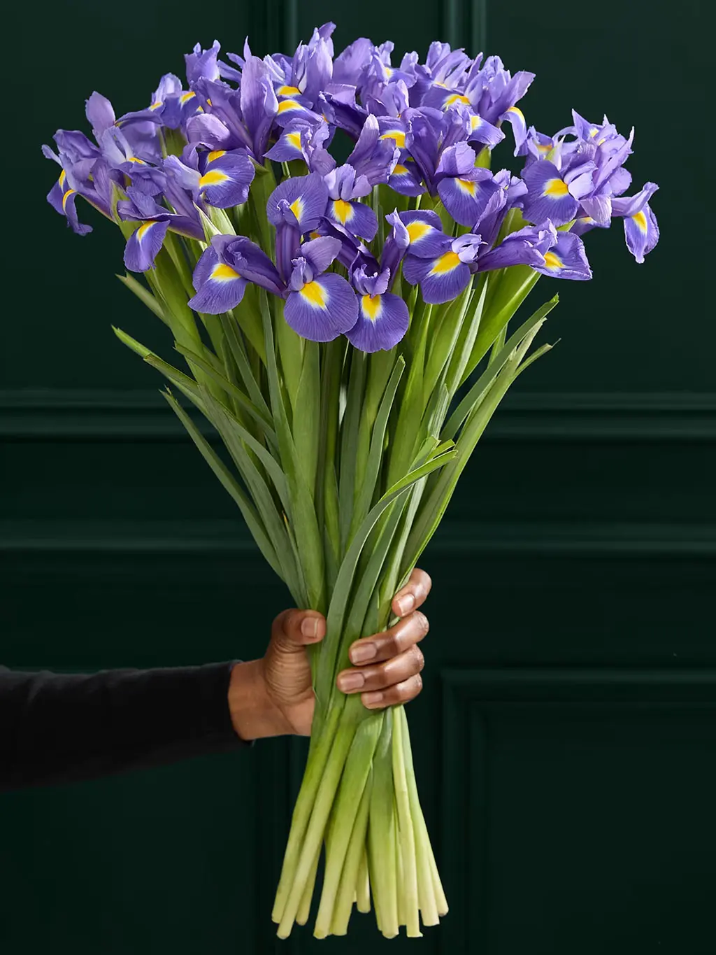 Bouquet of blue irises