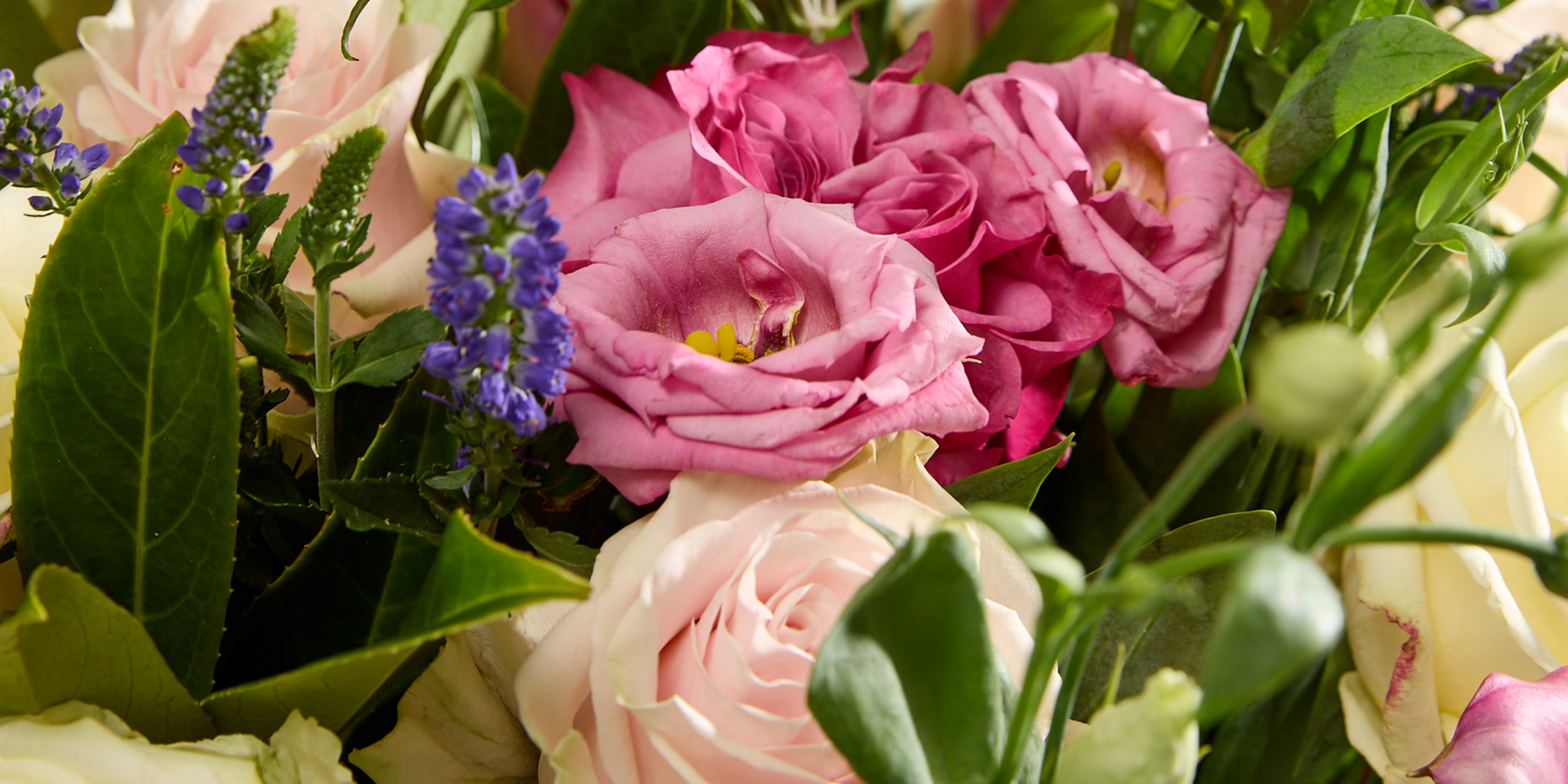 Mother's day flowers