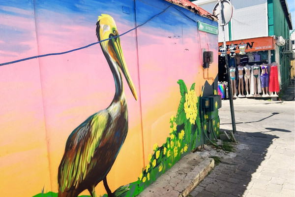 St Maarten Street Art - Philipsburg Pelican