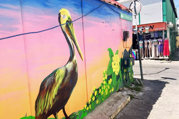 St Maarten Street Art - Philipsburg Pelican