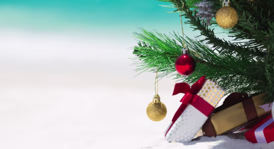 st-maarten-rental-car-in-december