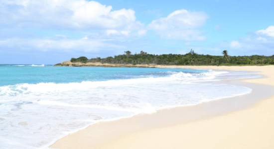 plum-bay-in-sint-maarten
