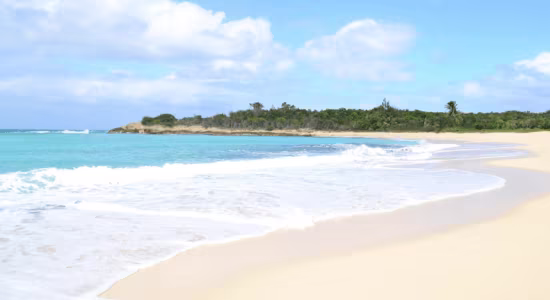 plum-bay-in-sint-maarten