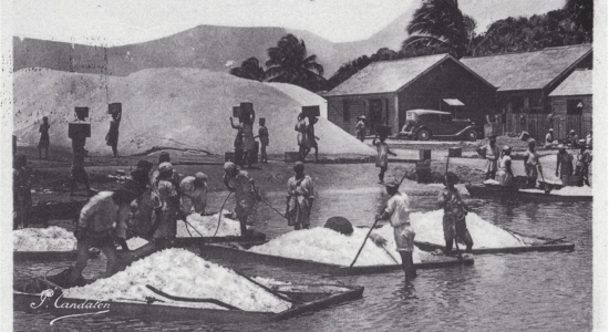 sint-maarten-history-picking-salt-picture