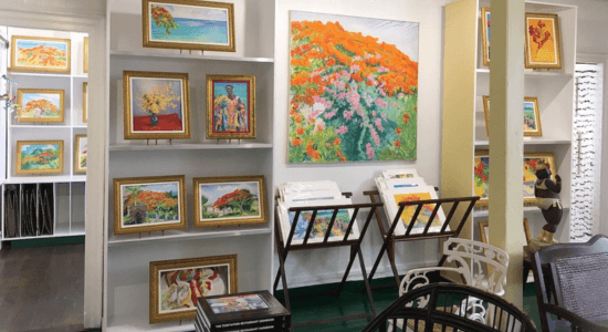 roland-richardson-gallery-in-sxm