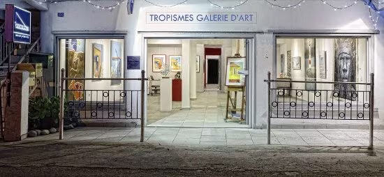 tropisme galerie art