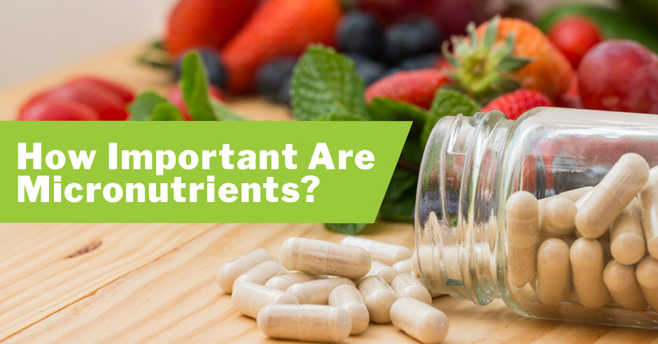 How Important Are Micronutrients?