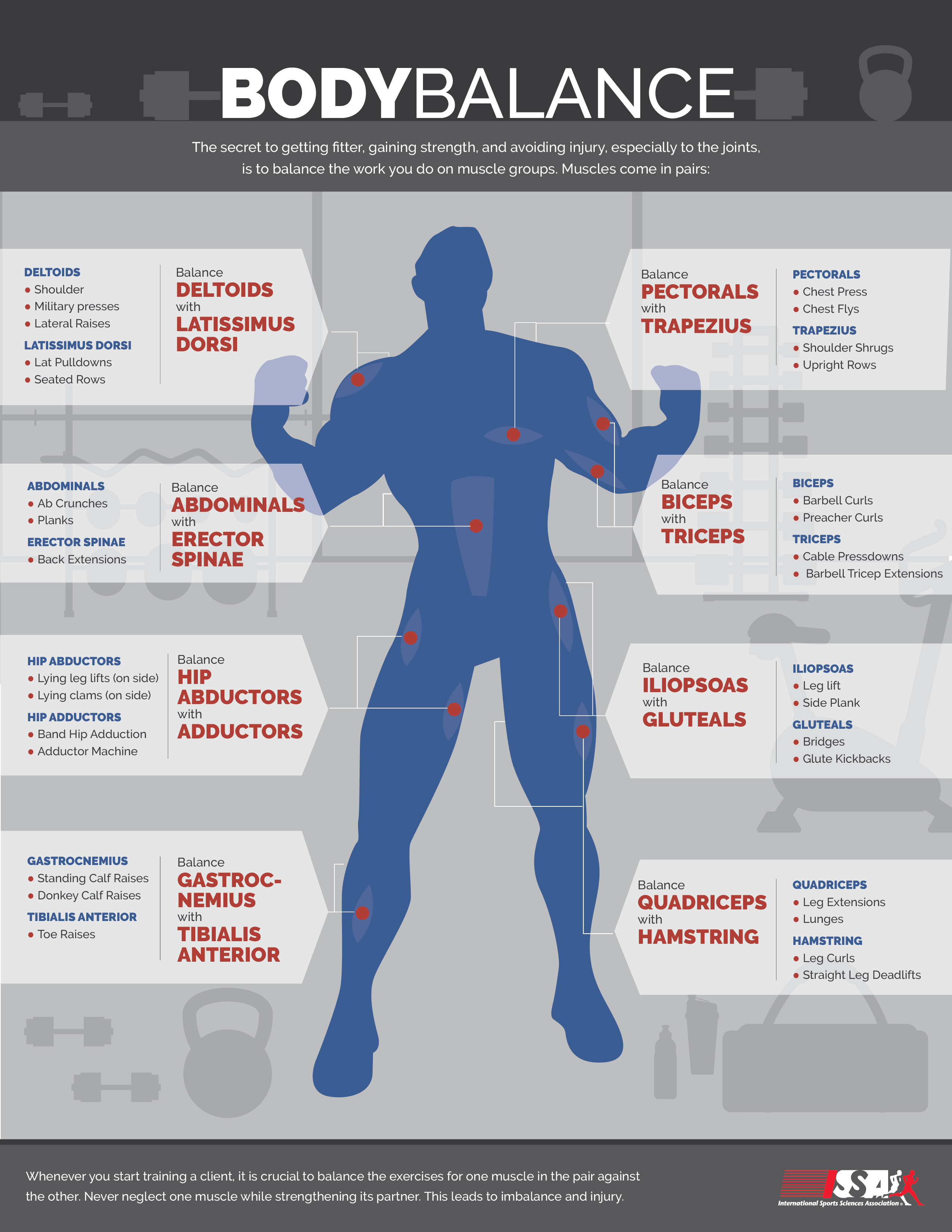 Body Balance Infographics