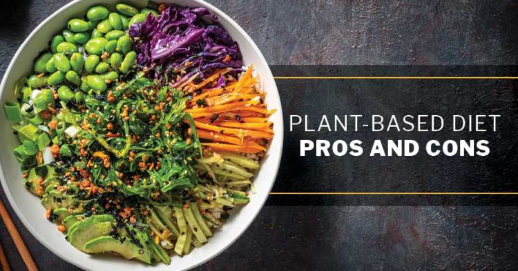 ISSA, International Sports Sciences Association, Certified Personal Trainer, ISSAonline, Want to Try a Plant-Based Diet? Here Are the Pros and Cons