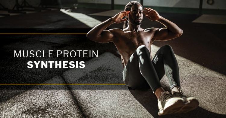 ISSA, International Sports Sciences Association, Certified Personal Trainer, ISSAonline, Muscle Protein Synthesis: What It Is and How to Maximize It