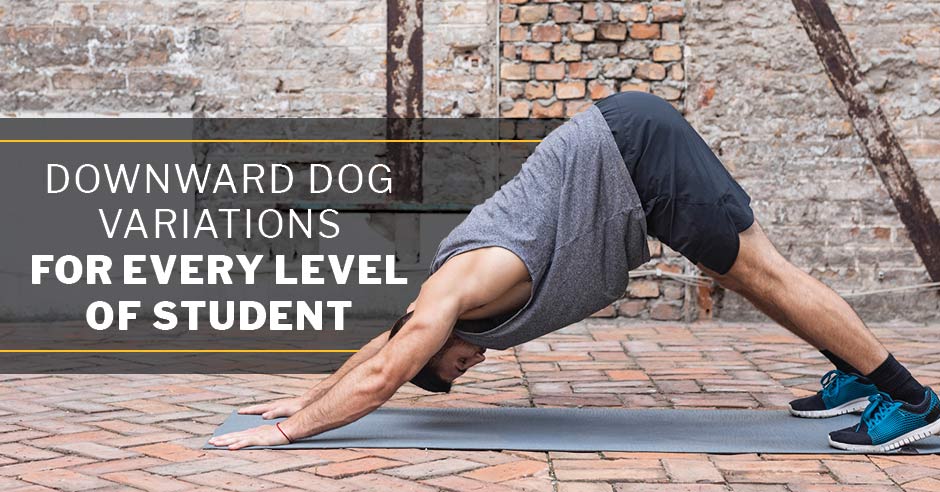 what does downward facing dog stretch