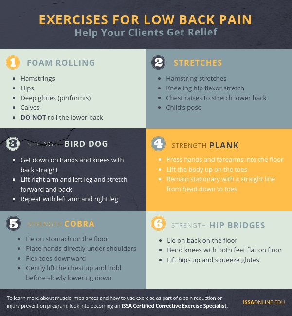 Exercises for Low Back Pain Handout