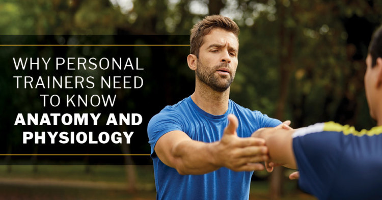 ISSA, International Sports Sciences Association, Certified Personal Trainer, ISSAonline, Why Personal Trainers Need to Know Anatomy and Physiology
