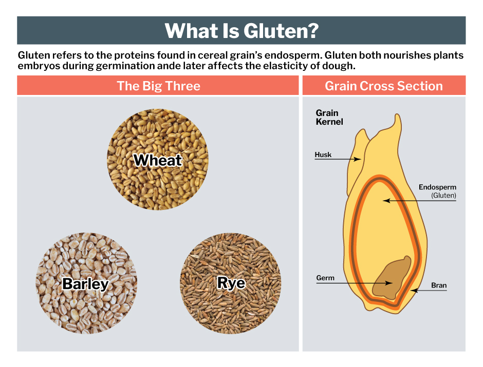 Are Your Clients Thinking about Going Gluten-Free? | ISSA