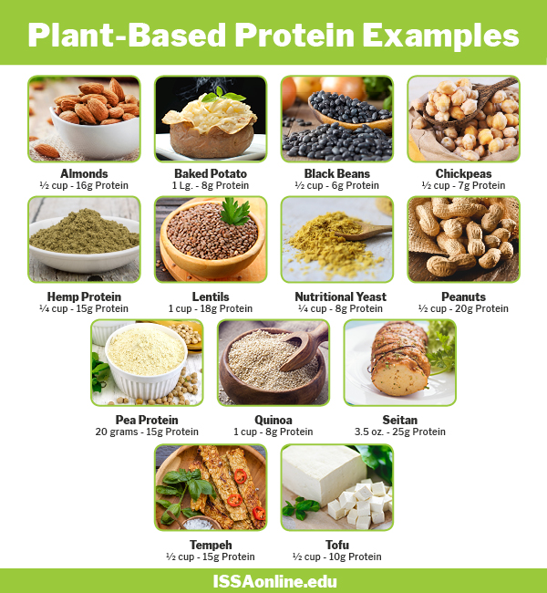 Plant Based Protein Examples