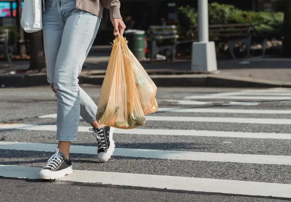 Woman carrying groceries