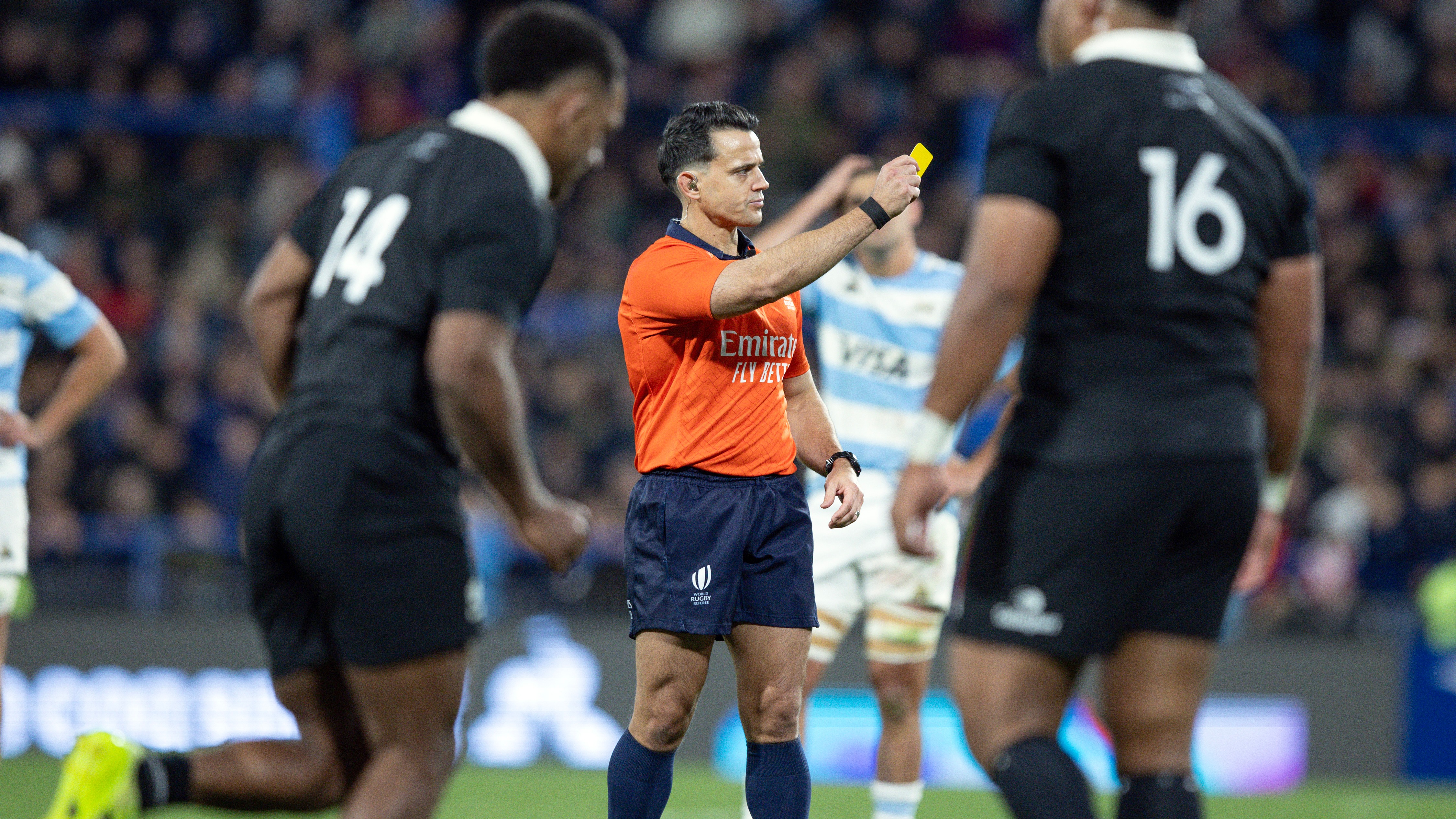 Referee Nic Berry