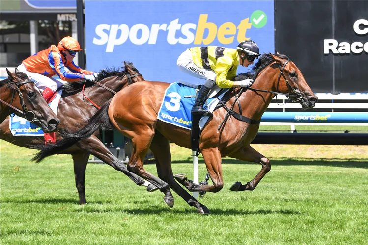 Clinton Mcdonald Racing Horse racing: Golden Slipper tips, Streisand, Clinton McDonald