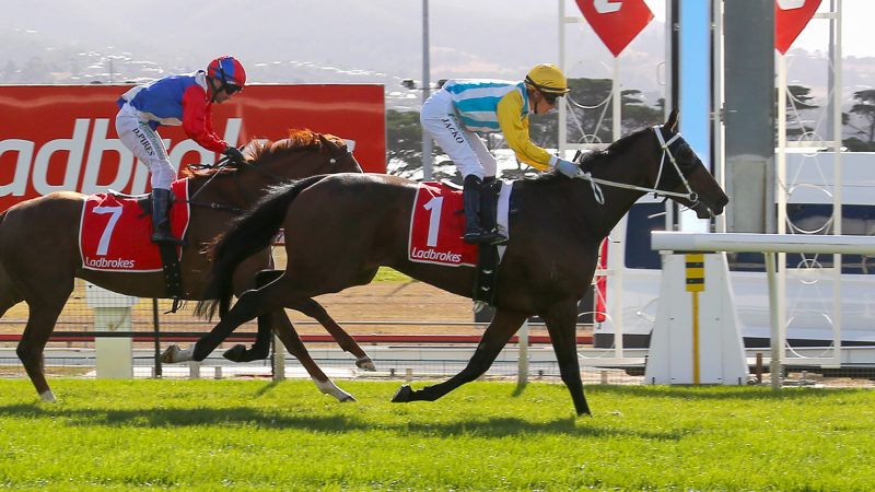 Horse Racing: Tasracing’s Sunday best bets at Hobart (08/11)