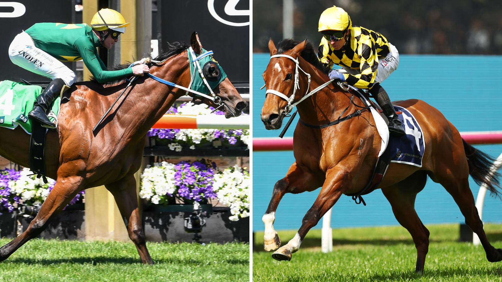 Horse Racing 2026: Would Autumn Glow or Sheza Alibi win across 1600m at ...